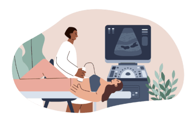 Nowy ultrasonograf